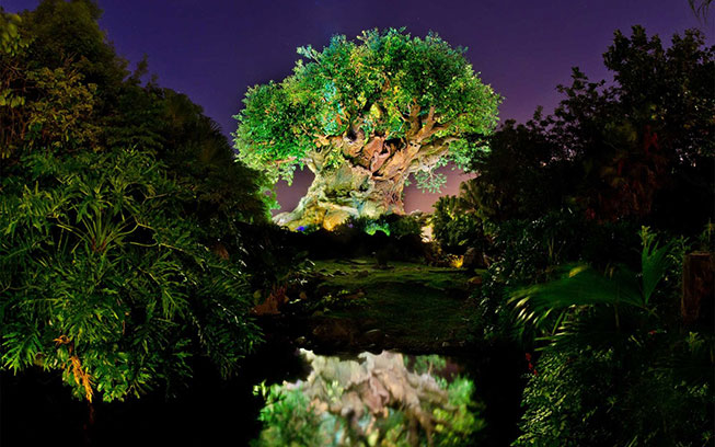 Discovery Island - Tree of Life - Animal Kingdom - Disney World