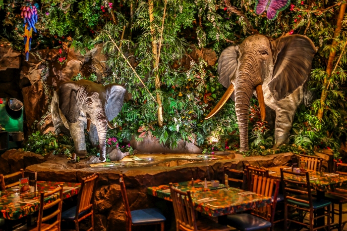 Rainforest Cafe - Animal Kingdom - Disney World