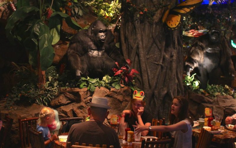 Rainforest Café – um restaurante temático em Disney Springs